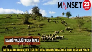 ELAZIĞ VALİLİĞİ MERA ALANLARININ ÜRETİCİLERE KİRALANMASI AMACIYLA İHALE DÜZENLEYECEK