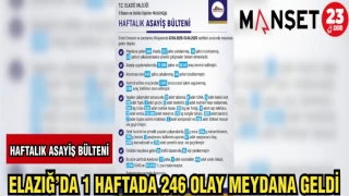 ELAZIĞ'DA 1 HAFTADA 246 OLAY MEYDANA GELDİ