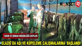 ELAZIĞ'DA AŞI VE KÜPELEME ÇALIŞMALARINA BAŞLANDI