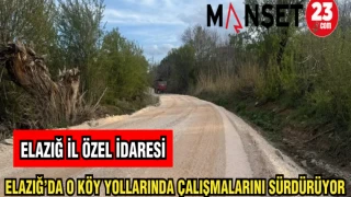 ELAZIĞ İL ÖZEL İDARESİ ELAZIĞ'DA O KÖY YOLLARINDA ÇALIŞMALARINI SÜRDÜRÜYOR