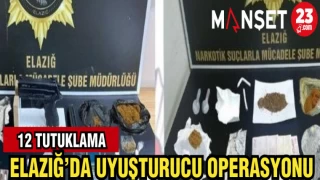 ELAZIĞ'DA UYUŞTURUCU OPERASYONU: 12 TUTUKLAMA