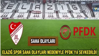 ELAZIĞSPOR SAHA OLAYLARI NEDENİYLE PFDK'YA SEVKEDİLDİ