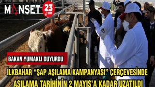İLKBAHAR "ŞAP AŞILAMA KAMPANYASI"ÇERÇEVESİNDE AŞILAMA TARİHİNİN 2 MAYIS'A KADAR UZATILDI