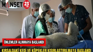 KIRSALDAKİ KEDİ VE KÖPEKLER KISIRLAŞTIRILMAYA BAŞLANDI