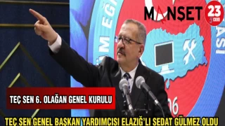 TEÇ SEN GENEL BAŞKAN YARDIMCISI ELAZIĞ'LI SEDAT GÜLMEZ OLDU