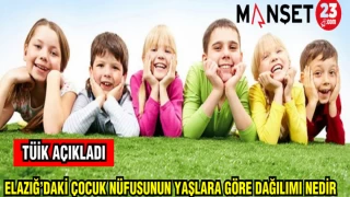 TÜİK AÇIKLADI: ELAZIĞ'DAKİ ÇOCUK NÜFUSUNUN YAŞLARA GÖRE DAĞILIMI NEDİR