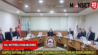 VALİ HATİPOĞLU BAŞKANLIĞINDA SAHİPSİZ HAYVANLAR İÇİN PLANLANAN ÇALIŞMALAR VE YATIRIMLAR DEĞERLENDİRİLDİ