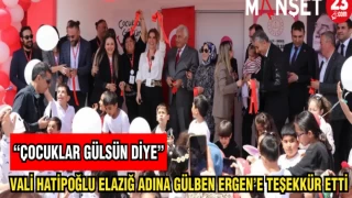 VALİ HATİPOĞLU ELAZIĞ ADINA GÜLBEN ERGEN'E TEŞEKKÜR ETTİ