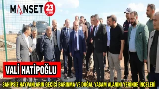 VALİ HATİPOĞLU SAHİPSİZ HAYVANLARIN GEÇİCİ BARINMA VE DOĞAL YAŞAM ALANINI YERİNDE İNCELEDİ