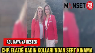 CHP ELAZIĞ KADIN KOLLARI'NDAN SERT KINAMA