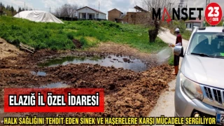 ELAZIĞ İL ÖZEL İDARESİ HALK SAĞLIĞINI TEHDİT EDEN SİNEK VE HAŞERELERE KARŞI MÜCADELE SERGİLİYOR