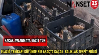 ELAZIĞ YENİKAPI KÖYÜNDE BİR ARAÇTA KAÇAK BALIKLAR TESPİT EDİLDİ