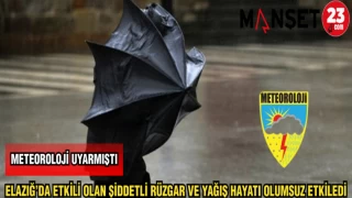 Elazığ’da etkili olan şiddetli rüzgar ve yağış hayatı olumsuz etkiledi.