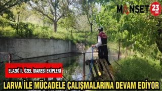 İL ÖZEL İDARESİ EKİPLERİ LAVRA İLE MÜCADELE ÇALIŞMALARINA DEVAM EDİYOR