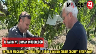 İL TARIM VE ORMAN MÜDÜRLÜĞÜ ENTEGRE MÜCADELE YÖNTEMLERİYLE ÜRÜN KAYBININ ÖNÜNE GEÇMEYİ HEDEFLİYOR