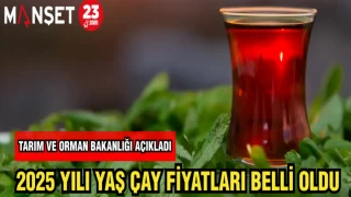 TARIM ORMAN BAKANLIĞI AÇIKLADI 2025 YILI YAŞ ÇAY FİYATLARI BELLİ OLDU