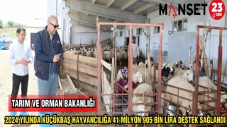 TARIM VE ORMAN BAKANLIĞI 2024 YILINDA KÜÇÜKBAŞ HAYVANCILIĞA 41 MİLYON 905 LİRA DESTEK SAĞLANDI