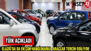 TÜİK AÇIKLADI: ELAZIĞ'DA EN ÇOK HANGİ MARKA ARAÇLAR TERCİH EDİLİYOR