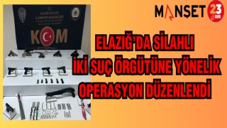ELAZIĞ'DA SİLAHLI İKİ SUÇ ÖRGÜTÜNE YÖNELİK OPERASYON DÜZENLENDİ