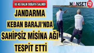 JANDARMA KEBAN BARAJI'NDA SAHİPSİZ MİSİNA AĞI TESPİT ETTİ