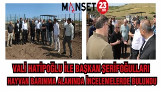 VALİ HATİPOĞLU İLE BAŞKAN ŞERİFOĞULLARI HAYVAN BARINMA ALANINDA İNCELEMELERDE BULUNDU