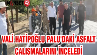 VALİ HATİPOĞLU PALU'DAKİ ASFALT ÇALIŞMALARINI İNCELEDİ
