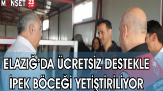 ELAZĞ'DA ÜCRETSİZ DESTEKLE İPEK BÖCEĞİ YETİŞTİRİLİYOR