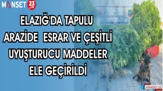 ELAZIĞ'DA TAPULU ARAZİDE ESRAR VE ÇEŞİTLİ UYUŞTURUCU MADDELER ELE GEÇİRİLDİ