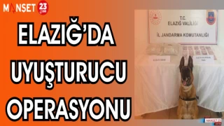 ELAZIĞ'DA UYUŞTURUCU OPERASYONU