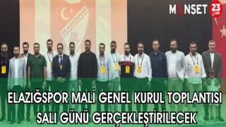 ELAZIĞSPOR MALİ GENEL KURUL TOPLANTISI SALI GÜNÜ GERÇEKLEŞTİRİLECEK