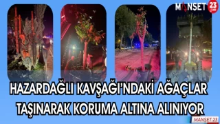 HAZARDAĞLI KAVŞAĞI'NDAKİ AĞAÇLAR TAŞINARAK KORUMA ALTINA ALINIYOR