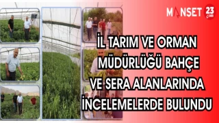 İL TARIM VE ORMAN MÜDÜRLÜĞÜ BAHÇE VE SERA ALANLARINDA İNCELEMELERDE BULUNDU