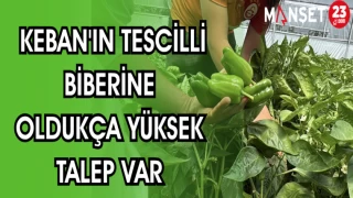 KEBAN'IN TESCİLLİ BİBERİNE OLDUKÇA YÜKSEK TALEP VAR