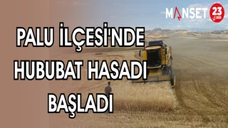 PALU İLÇESİ'NDE HUBUBAT HASADI BAŞLADI
