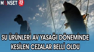 SU ÜRÜNLERİ AV YASAĞI DÖNEMİNDE KESİLEN CEZALAR BELLİ OLDU