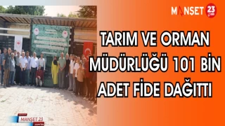 TARIM VE ORMAN MÜDÜRLÜĞÜ 101 BİN ADET FİDE DAĞITTI