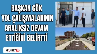 BAŞKAN GÖK YOL ÇALIŞMALARININ ARALIKSIZ DEVAM ETTİĞİNİ BELİRTTİ