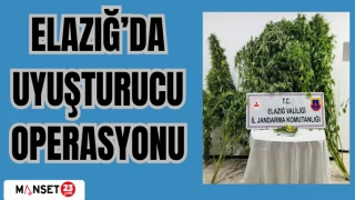 ELAZIĞ'DA UYUŞTURUCU OPERASYONU
