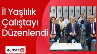 İl Yaşlılık Çalıştayı Düzenlendi
