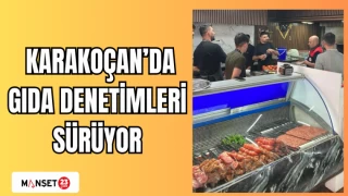 KARAKOÇAN'DA GIDA DENETİMLERİ SÜRÜYOR