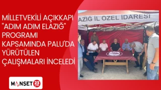 MİLLETVEKİLİ AÇIKKAPI "ADIM ADIM ELAZIĞ" PROGRAMI KAPSAMINDA PALU'DA YÜRÜTÜLEN ÇALIŞMALARI İNCELEDİ