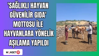'Sağlıklı hayvan güvenilir gıda' mottosu ile hayvanlara yönelik aşılama yapıldı