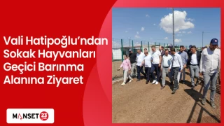 Vali Hatipoğlu’ndan Sokak Hayvanları Geçici Barınma Alanına Ziyaret
