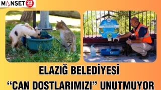 ELAZIĞ BELEDİYESİ "CAN DOSTLARIMIZI" UNUTMUYOR