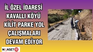 İL ÖZEL İDARESİ KAVALLI KÖYÜ KİLİT PARKE YOL ÇALIŞMALARI DEVAM EDİYOR