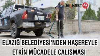 ELAZIĞ BELEDİYESİ'NDEN HAŞEREYLE ETKİN MÜCADELE ÇALIŞMASI