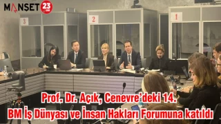 Prof. Dr. Yasemin Açık, Cenevre’deki 14. BM İş Dünyası ve İnsan Hakları Forumuna katıldı