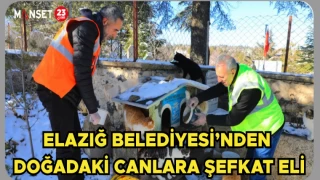 Elazığ Belediyesi’nden Doğadaki Canlara Şefkat Eli