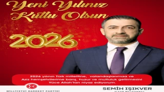 MİLLETVEKİLİ IŞIKVER'DEN YENİ YIL MESAJI