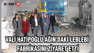 VALİ HATİPOĞLU AĞIN'DAKİ LEBLEBİ FABRİKASINI ZİYARET ETTİ